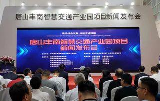 丰南爆料新闻电话,揭秘本地热点事件背后的真相