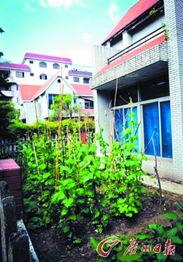 娱乐圈爆料售卖豪宅,明星豪宅热销，揭秘豪宅背后的故事